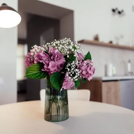 Lara Apartament 1 Apartment Lviv