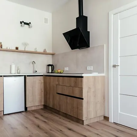 Apartment Lara Apartament 1 Lviv